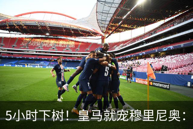 5小时下树！皇马就宠穆里尼奥：第5名新援到位，还有3大目标